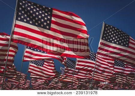 Waves Of Flags