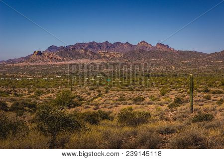 Beautiful Saguaro Cacti Scattered Throughout Lost Dutchman State Park, Arizona With Mountains In The