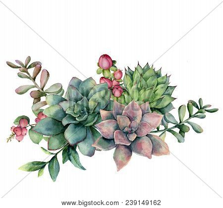 Watercolor Succulent Bouquet With Red Berries. Hand Painted Green And Violet Flowers, Branch And Hyp