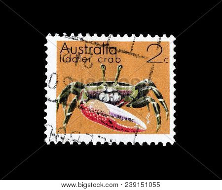 Australia - Circa 1973 : Cancelled Postage Stamp Printed By Australia, That Shows Fiddler Crab.