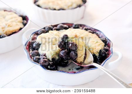 Individual Servings Of Fresh Blueberry Cobbler Dessert