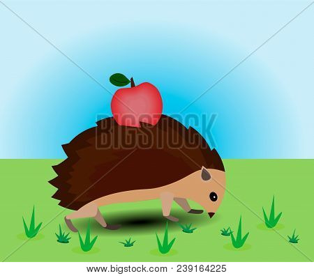 The Hedgehog Strolls Through The Meadow. It Carries An Apple On Its Back.