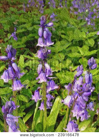 Beautiful Digital Painting Of Purple Bluebells With Luscious Green Foiliage And Space For Text.