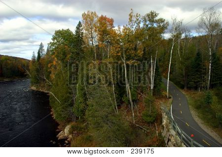 Bisiklet yolu Nehri boyunca