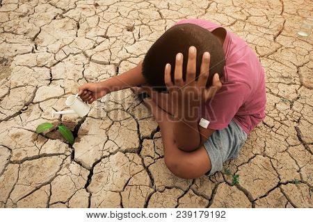 A Tree Growing On Cracked Ground. Crack Dried Soil In Drought, Affected Of Global Warming Made Clima