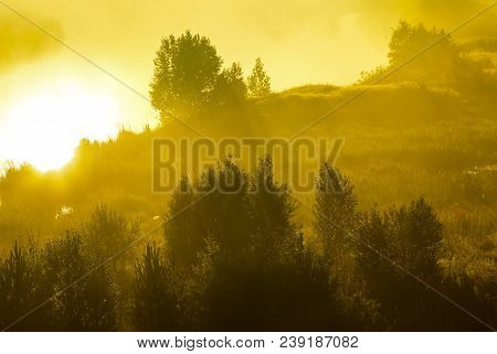 Big Sun And Mist In Sunrise, Morning, White Balance Orange On Sunrise