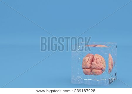 Brain In Ice Cubes On Blue Background Include Path.3d Illustration.