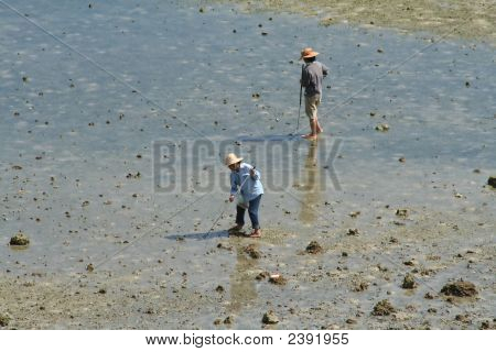 Scavo per vongole