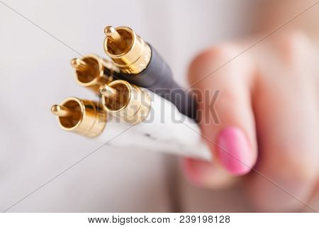 Input Rca Connectors On The Back Of Loudspeaker