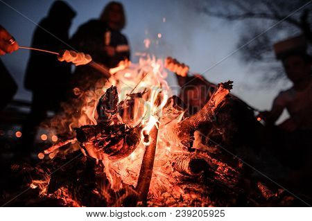Young And Cheerful Friends Sitting And Fry Marshmallows Near The Fire In The Deep Night On The Natur