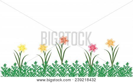 Frame Border - Yellow Daffodils And Green Grass - Isolated On White Background - Art Vector.