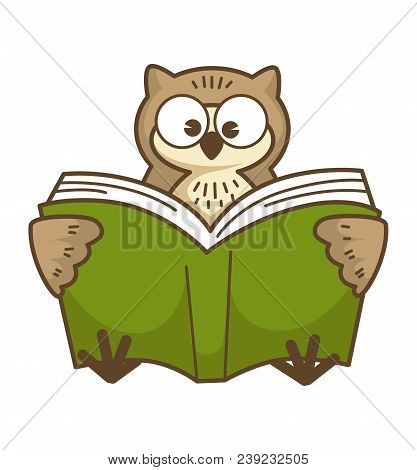 Wise Owl With Big Round Eyes Reads Book In Green Hardcover. Bird Learns New Information. Funny Wild 