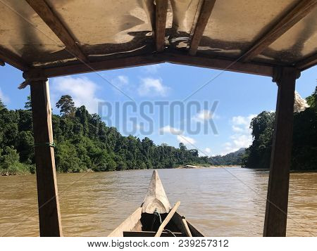 View Of Part Of A Green Rain Forest From The Kuala Tahan River Located In  Pahang National Park, Mal
