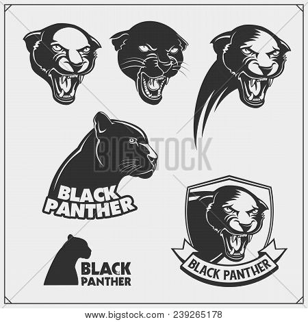 Labels, Emblems And Design Elements For Sport Club With Panther. Vector.