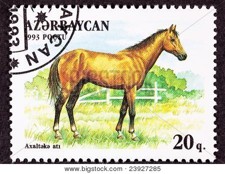Annullato Azerbaigian francobollo Brown, cavallo di razza Akhal-teke permanente pascolo