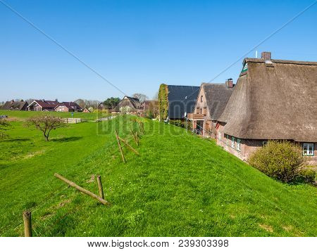 Houses On The Dike In Haseldorf, Niederelbe, Schleswig Holstein, Germany, Europe