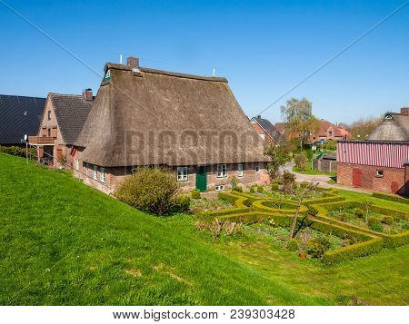Croft With Thatch Roof In Haseldorf, Niederelbe, Schleswig Holstein, Germany, Europe