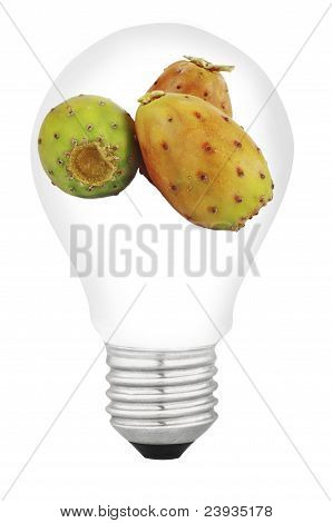 ランプとフルーツ