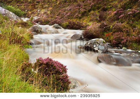 Heather y arroyo de montaña