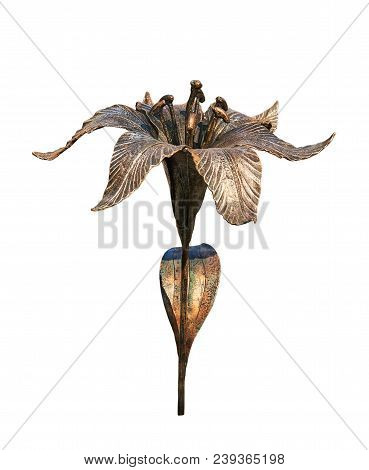 Lily Handmade Forged From Metal. Isolated On A White Background