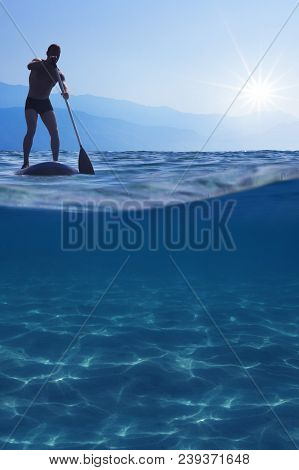 Stand Up Paddle Boarding
