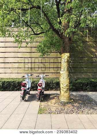 Two Electric Scooters And Wrapped Tree Trunk By Golden Foil. Hangzhou, China