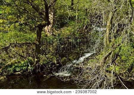 River Tame Waterfall In Friezland In The Peak District National Park