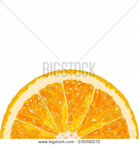 Vector Illustration Of Card, Template With Juicy Orange Fruit Slice. Tropical Citrus Invitation Flye