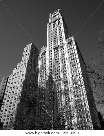 Woolworth Building Nyc B&W