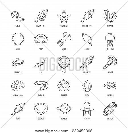 Seafood Icon. Outline Seafood Vector Icon With Fish And Octopus For Web Design Isolated On White Bac