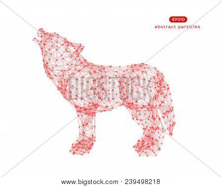 Vector Abstract Illustration Of Wolf.