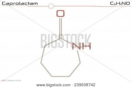 Large And Detailed Infographic Of The Molecule Of Caprolactam.