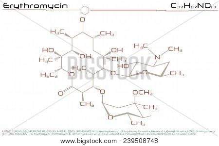 Large And Detailed Infographic Of The Molecule Of Erythromycin.