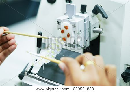Rotary Microtome Section For Diagnosis In Pathology Make Microscope Slide Histology. Human Tissue Eq