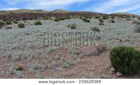 Summer Day, Around The Fields, And Mountains Of  Chatahuana Village. Uyuni - Bolivia