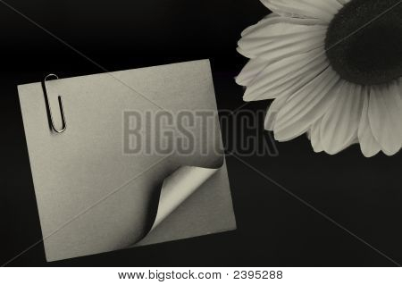 Notizen-Frau