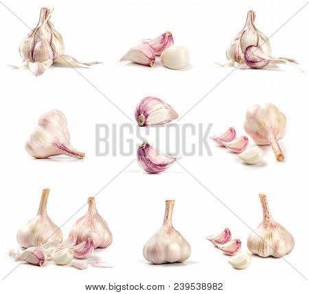 Collection Of Fresh Garlic Isolated On White Background. Set Of Multiple Images. Part Of Series