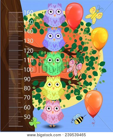 Kids Height Meter With Cute Owls. Funny Stadiometer From 50 To 160 Centimeter.