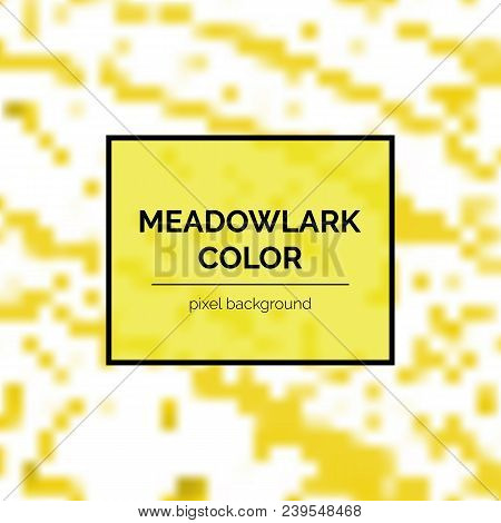 Beautiful Meadowlark Square Background