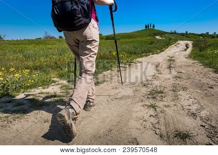 Asciano, Tuscany, Italy - Trekking, Unknown People Walking Along The Famous White Roads