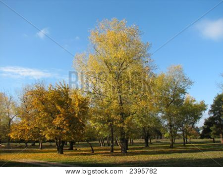 Krajina