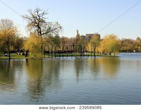 Trees Reflect On The Lake Waters  - Spring Time