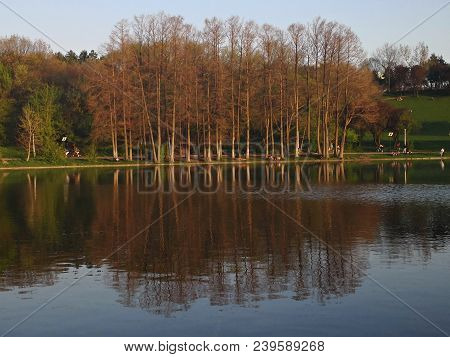 Trees Reflection In The Water. Beautiful Sunny Spring Evening.