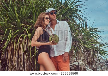 An Ttractive Couple, Holds Coconut With A Tube, Posing On A Beach Near Palm Bush, Enjoys A Vacation 