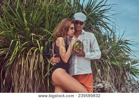 An Ttractive Couple, Holds Coconut With A Tube, Posing On A Beach Near Palm Bush, Enjoys A Vacation 