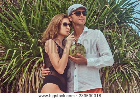 An Ttractive Couple, Holds Coconut With A Tube, Posing On A Beach Near Palm Bush, Enjoys A Vacation 