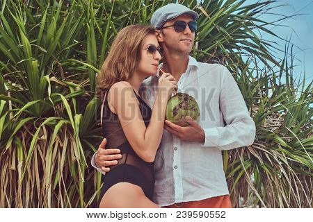An Ttractive Couple, Holds Coconut With A Tube, Posing On A Beach Near Palm Bush, Enjoys A Vacation 