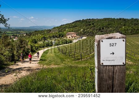Asciano, Tuscany, Italy - Unknown People Walking Along The Famous White Roads