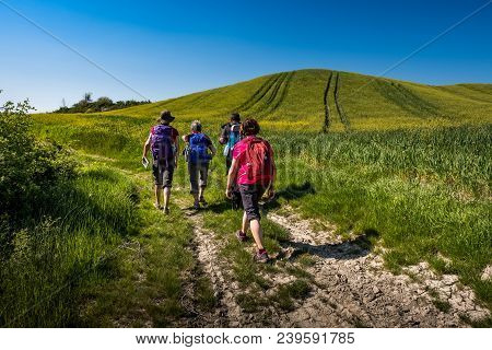 Asciano, Tuscany, Italy - Unknown People Walking