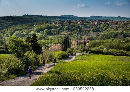 Asciano, Tuscany, Italy - Unknown People Walking